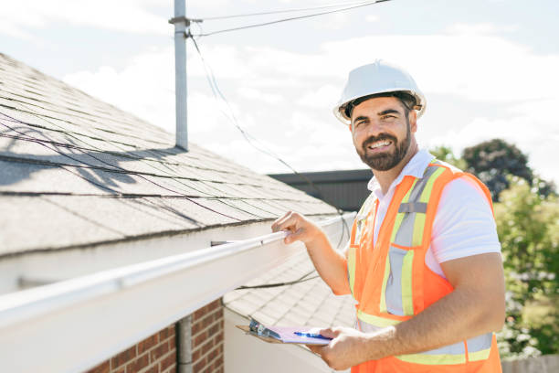 Best Roof Gutter Cleaning  in Edwardsvle, IL