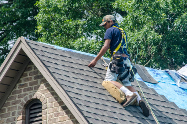 Best Roof Waterproofing Services  in Edwardsvle, IL